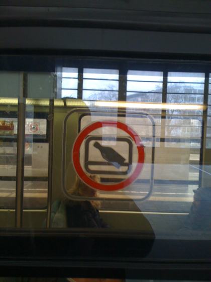Flaschen nicht aus dem Fenster werfen (S-Bahn Berlin)
