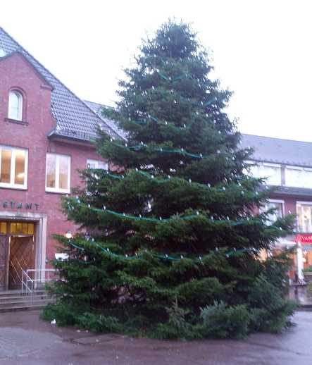 Weihnachten 2013 Baum