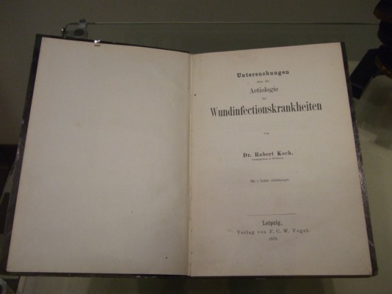 Robert Koch: Aetiologie der Wundinfectionskrankheiten, Leipzig 1878