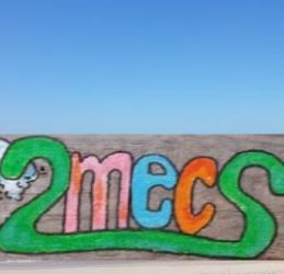 2mecs