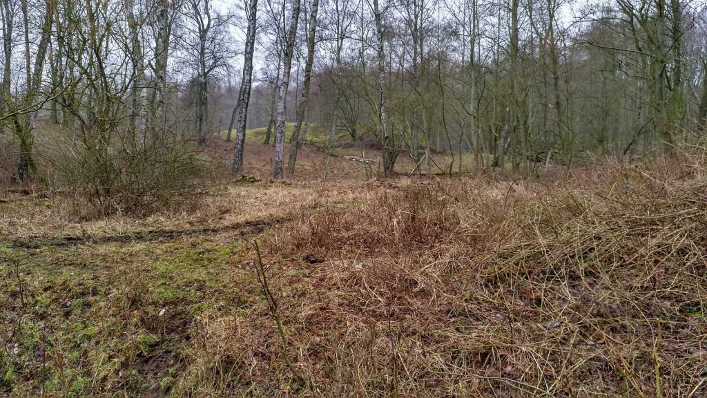 Naturschutzbgebiet Höltigbaum