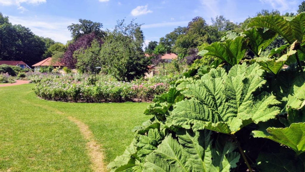 Schlossgarten Oldenburg