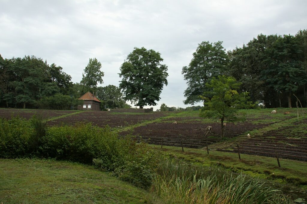  Stedingsehre Bookholzberg