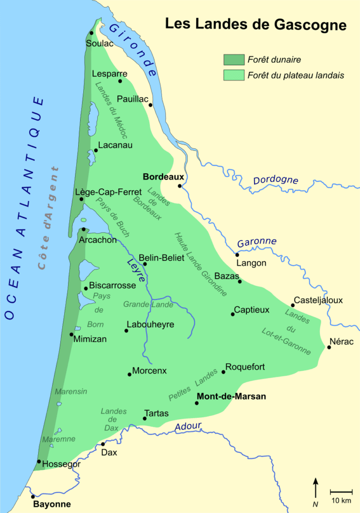 Kiefernwälder der Landes de Gascogne