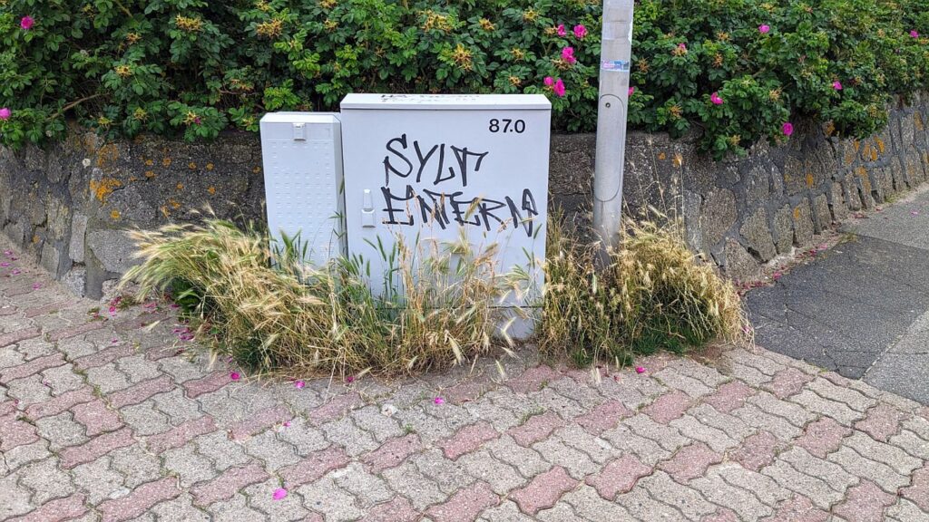 Sylt Punks auch 2024 ?